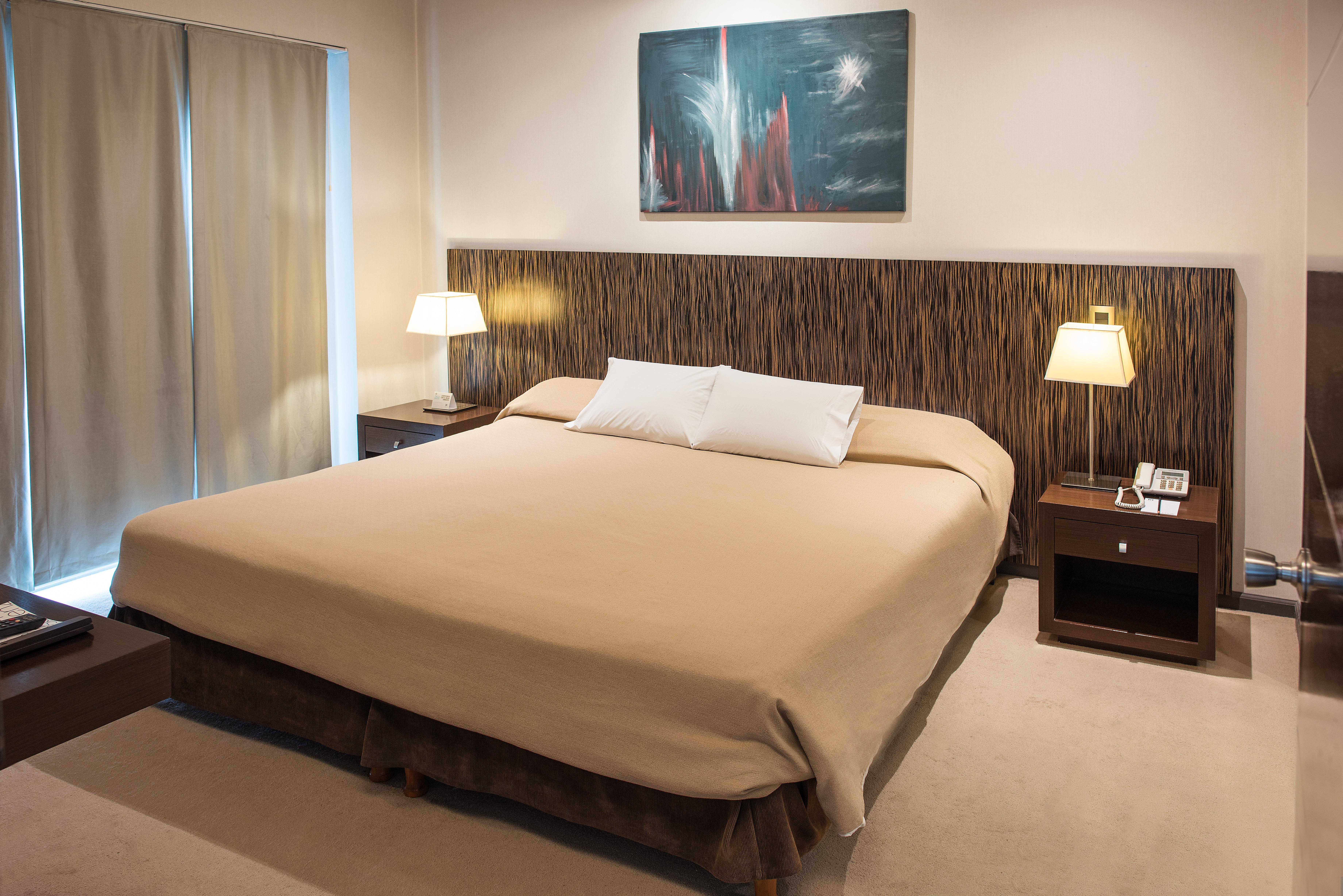 Mod Hotel Mendoza
